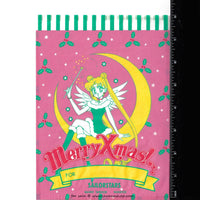 Rare Sailor Moon Furoku Christmas Bag Nakayoshi Sailor Stars Usagi ChibiChibi