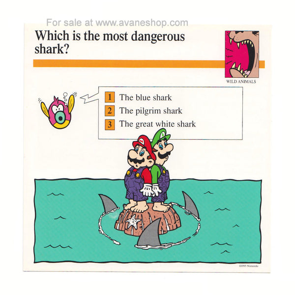 Mario Quiz Cards Single Card Dangerous Shark Mario and Luigi  90s Vintage Nintendo