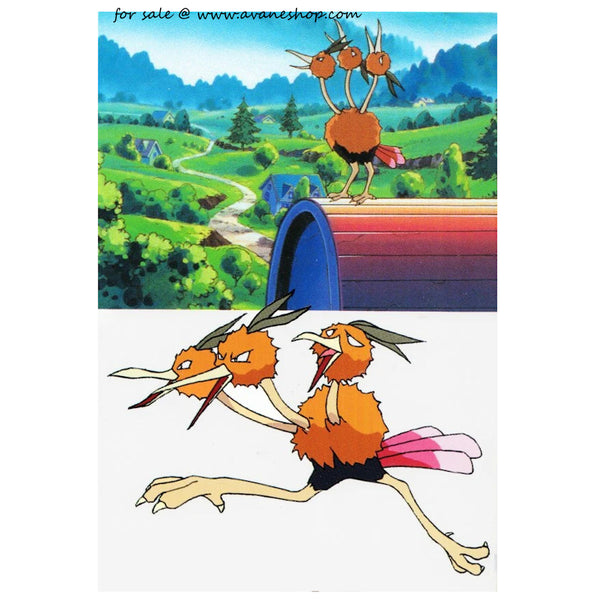 pokemon dodrio card Official Pokemon Postcard for sale – Avane Shop