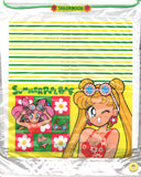 Vintage 90s Sailor Moon Nakayoshi Furoku Plastic Pool Bag Inner Senshi in Swimsuits Luna Artemis