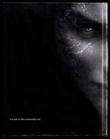 StarCraft II: Heart of the Swarm Collector's Edition Strategy Guide Hardcover Guide