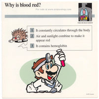 Mario Quiz Cards Single Card Red Blood Dr.Mario 90s Vintage Nintendo