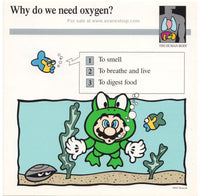 Mario Quiz Cards Single Card Oxygen Frog Suit Mario 90s Vintage Nintentdo