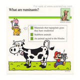 Mario Quiz Cards Single Card Ruminants 90s Vintage Nintendo