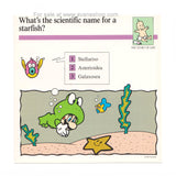 Mario Quiz Cards Single Card Starfish Frog Suit Mario 90s Vintage Nintendo