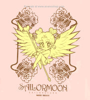 Sailor Moon Furoku Big Bag Sailor Stars Angel Serenity Usagi Chibi Chibi Nakayoshi