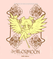 Sailor Moon Furoku Big Bag Sailor Stars Angel Serenity Usagi Chibi Chibi Nakayoshi D