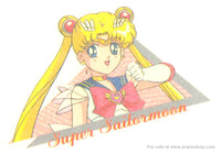 Sailor Moon SuperS Irezumi Seal Tattoo Card and Envelope Super Sailormoon Triangle