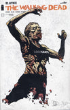 Walking Dead #132 Comic Loot Crate Variant Set with Exclusive Poster and Extras Seal